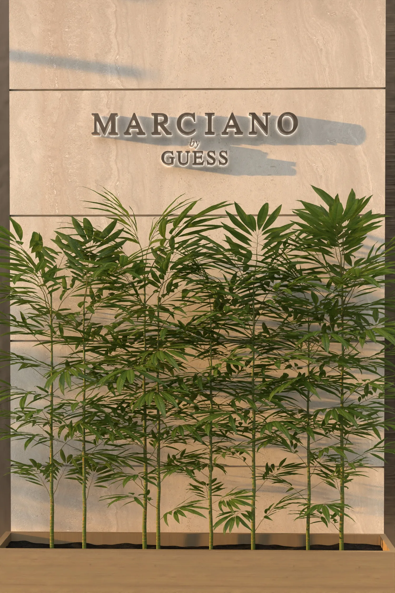 Marciano Featured Image